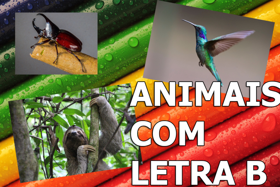 Mundo Animal - Tudo Sobre Mundo Animal